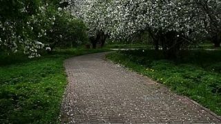Tiongkok Sakit, Gue Kena Racun Cinta Yang Bikin Ngangkang Kejang-kejang.
