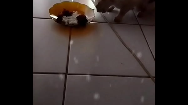 Anita, Si Sapi Seksi Yang Bikin Ngiler Setiap Orang.